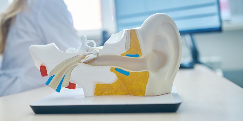 Absolute Hearing Services Blog